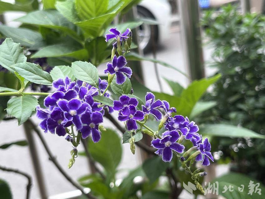 美高梅手机版登录4858